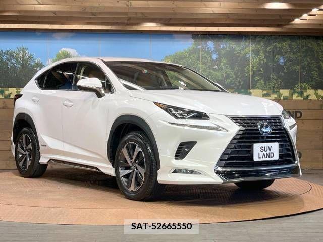 Lexus NX 2018-10 388248-16
