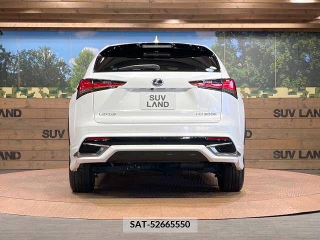 Lexus NX 2018-10 388248-15