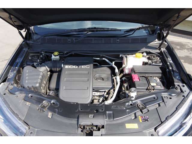 Chevrolet CAPTIVA 2017-06 564-19