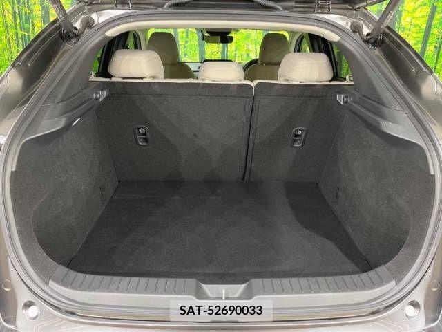 Mazda CX-30 2019-10 295614-9