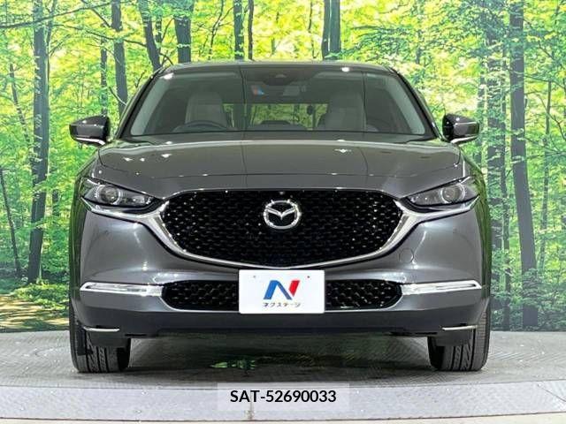 Mazda CX-30 2019-10 295614-13