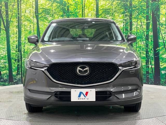 Mazda CX-5 2017-01 194586-14