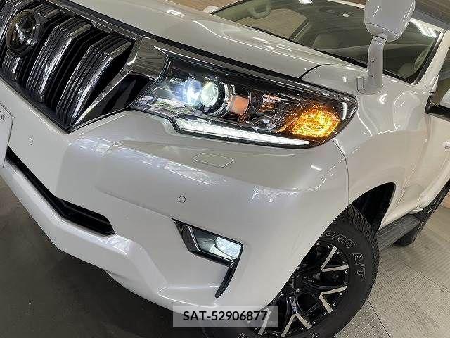 Toyota LAND CRUISER PRADO 2019-05 303220-9