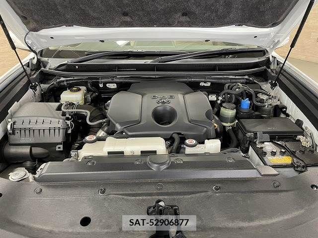 Toyota LAND CRUISER PRADO 2019-05 303220-13