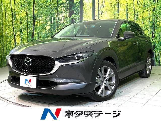 Mazda CX-30 2020-11 225152-0
