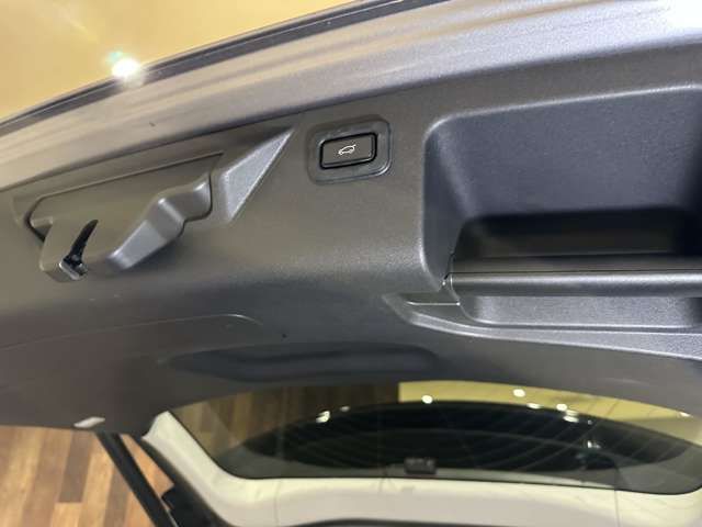 ROVER DISCOVERY 2021-01 24053-18