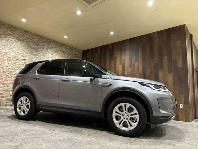 ROVER DISCOVERY 2021-01 24053-8