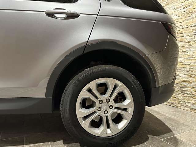 ROVER DISCOVERY 2021-01 24053-11