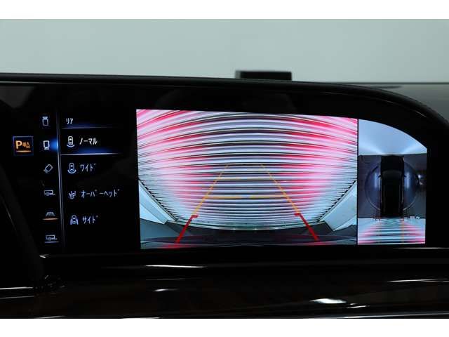 Cadillac ESCALADE 2021-09 194577-13
