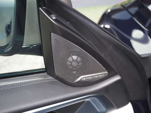 Bmw 4 SERIES 2022-06 11151-13