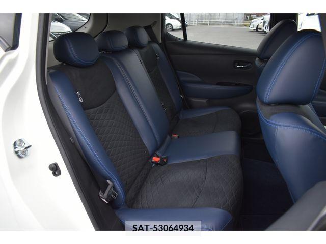 Nissan LEAF 2021-01 217529-17