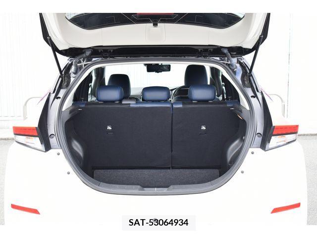 Nissan LEAF 2021-01 217529-18