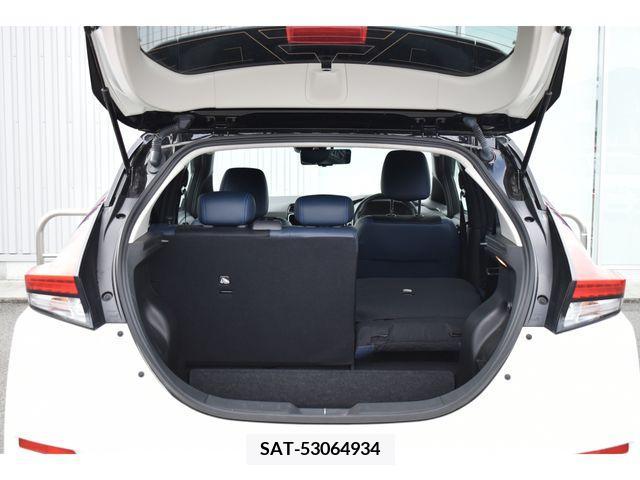 Nissan LEAF 2021-01 217529-19