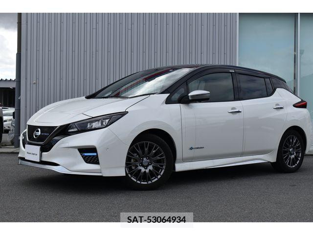 Nissan LEAF 2021-01 217529-0