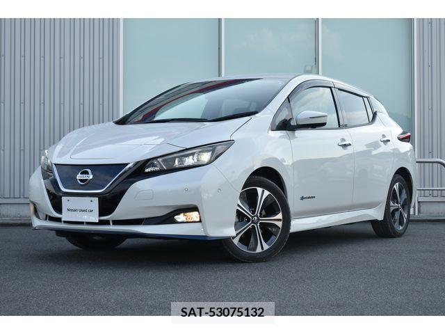 Nissan LEAF 2019-05 367053-0