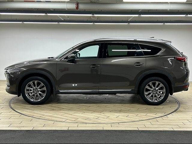 Mazda CX-8 2019-12 11798-14