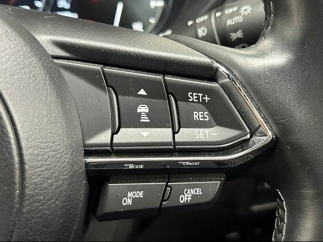 Mazda CX-8 2019-12 11798-4