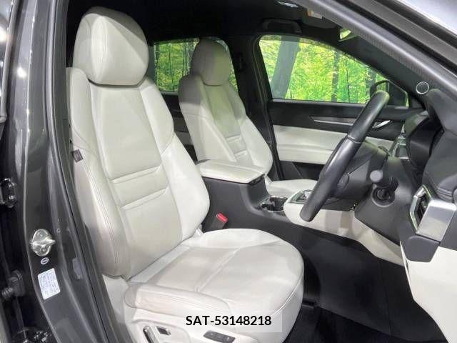 Mazda CX-8 2018-01 221444-9