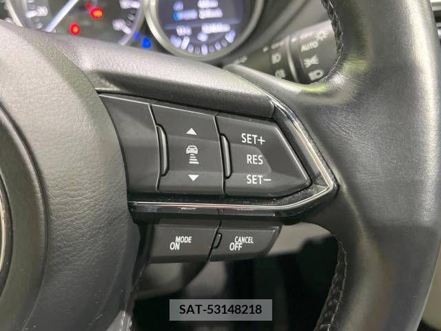Mazda CX-8 2018-01 221444-5