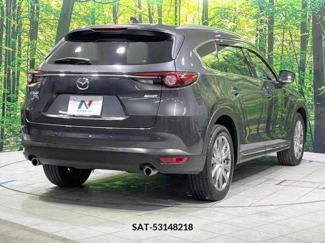Mazda CX-8 2018-01 221444-18