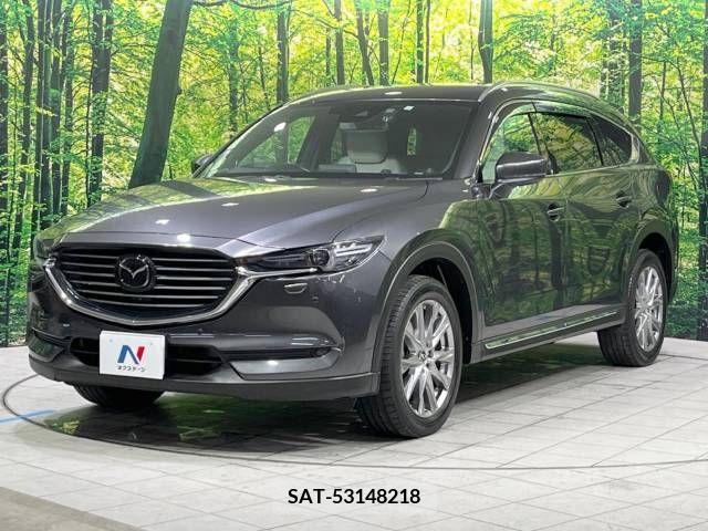 Mazda CX-8 2018-01 221444-17