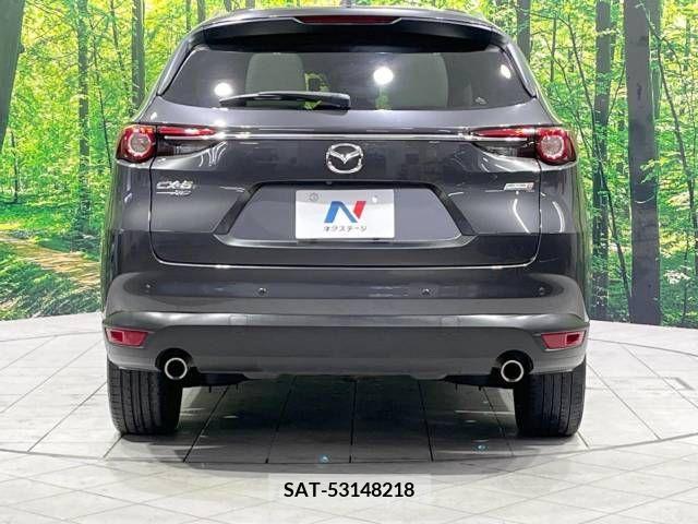 Mazda CX-8 2018-01 221444-16