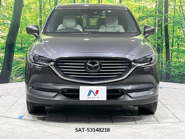 Mazda CX-8 2018-01 221444-15