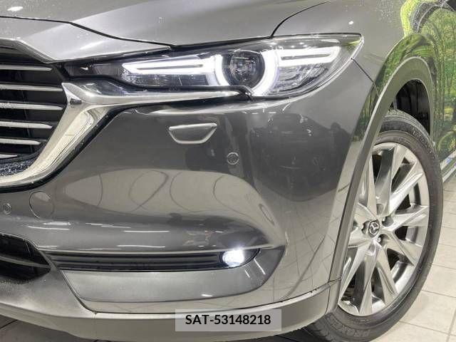 Mazda CX-8 2018-01 221444-13