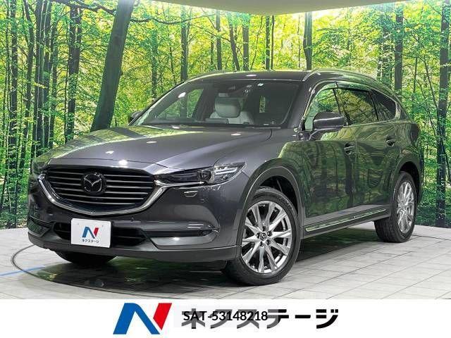 Mazda CX-8 2018-01 221444-0