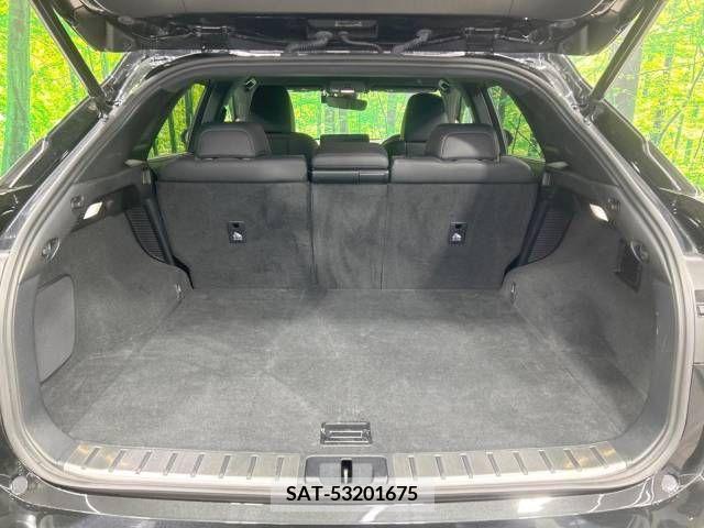 Lexus RX 2021-01 220477-11