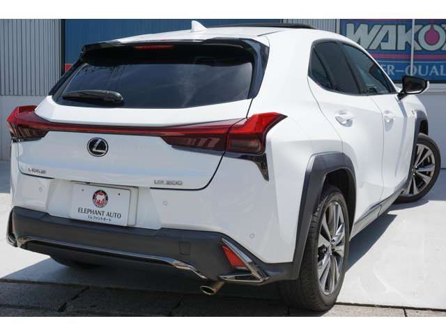 Lexus UX 2019-03 9490-8