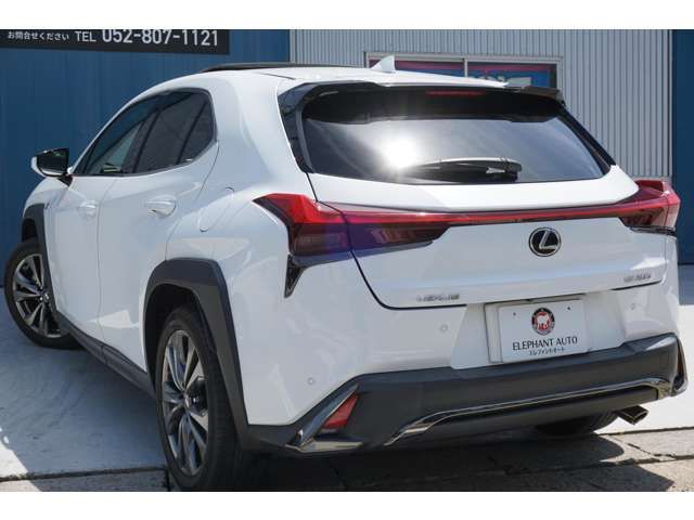 Lexus UX 2019-03 9490-7