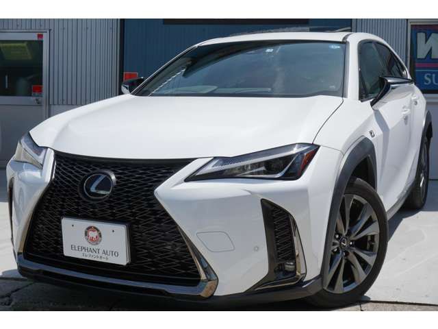 Lexus UX 2019-03 9490-6