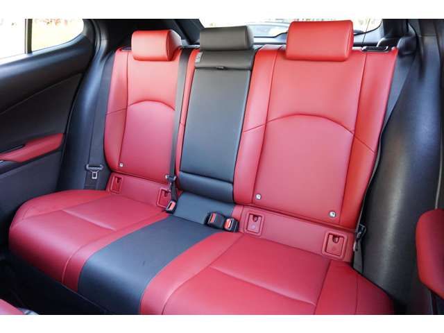 Lexus UX 2019-03 9490-18