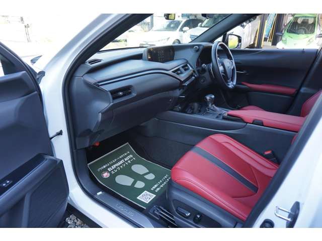 Lexus UX 2019-03 9490-15