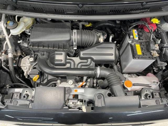 Daihatsu TAFT 2020-06 196384-19