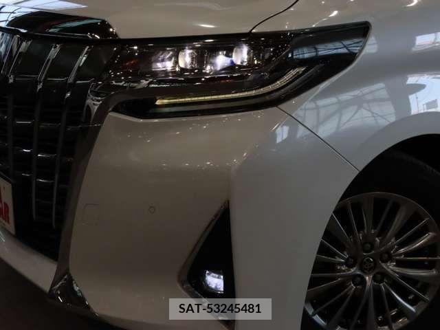 Toyota ALPHARD 2018-10 228902-13