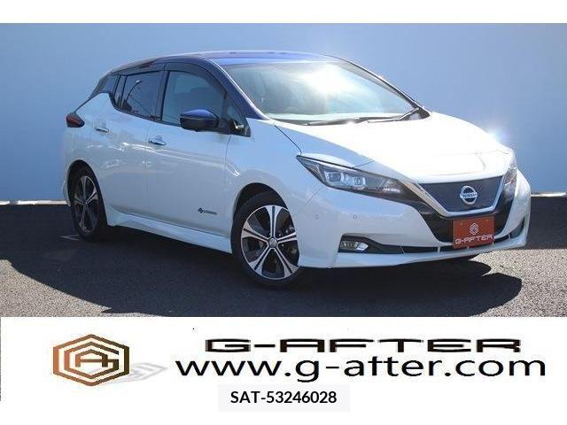 Nissan LEAF 2017-11 324782-0