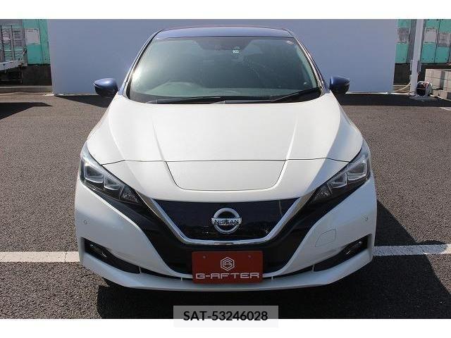 Nissan LEAF 2017-11 324782-7