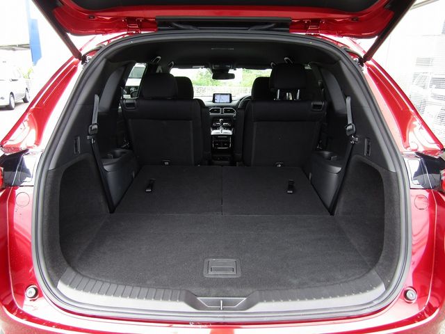 Mazda CX-8 2020-06 17751-7
