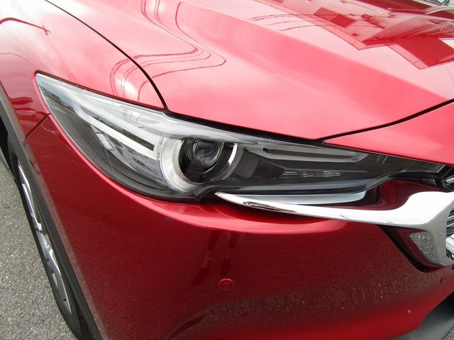Mazda CX-8 2020-06 17751-26
