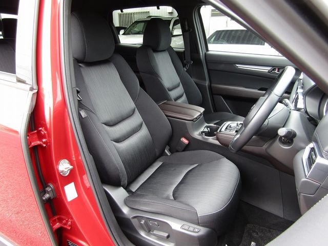 Mazda CX-8 2020-06 17751-9