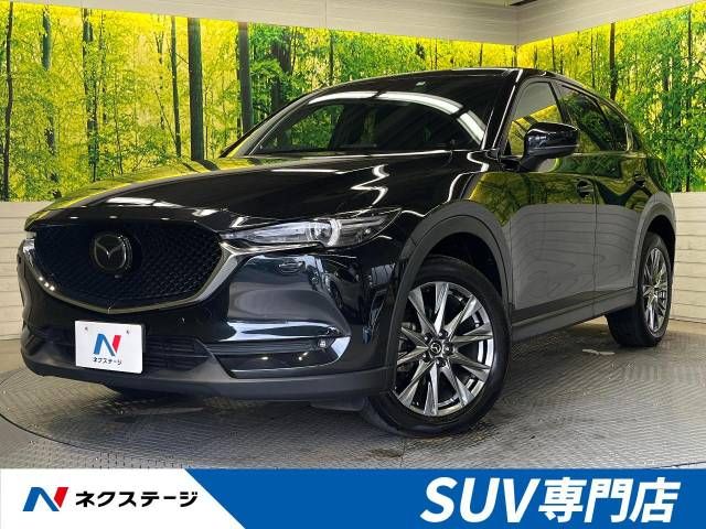 Mazda CX-5 2019-02 9809-0