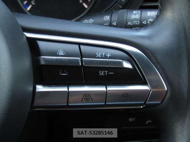 Mazda MAZDA3 2019-07 301048-11