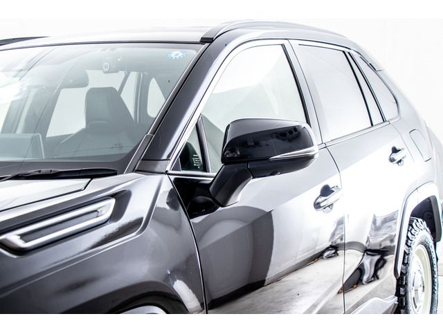 Mitsuoka BUDDY 2022-01 14355-8