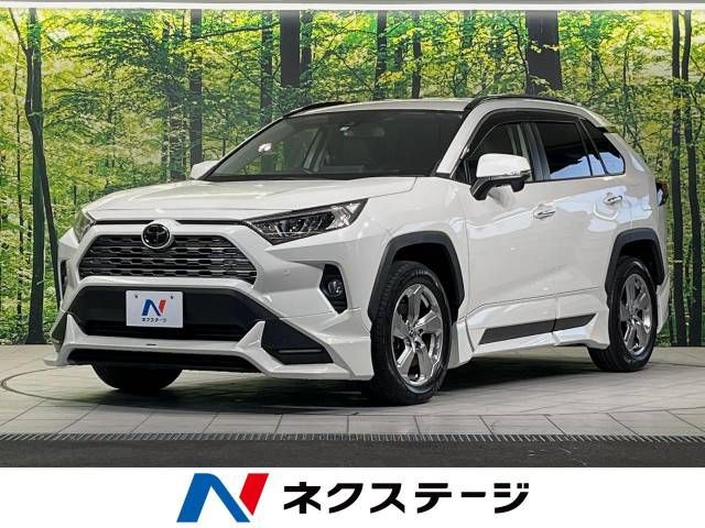 Toyota RAV4 2019-10 180519-0