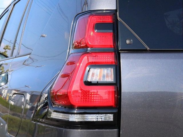 Toyota PRADO 2021-01 194887-12