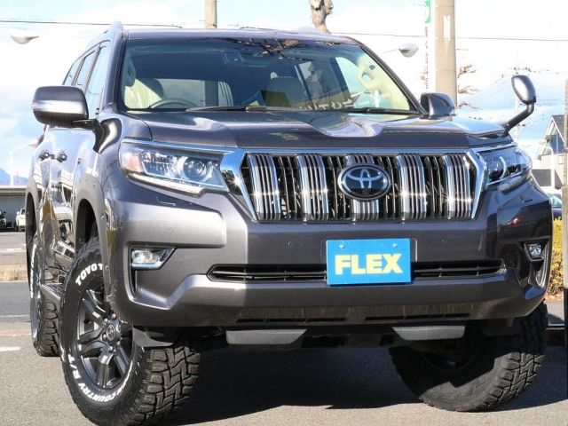 Toyota PRADO 2021-01 194887-6