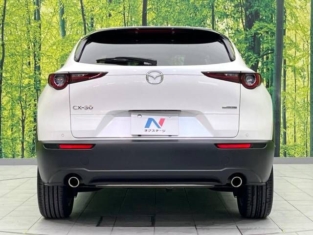 Mazda CX-30 2023-03 189512-15
