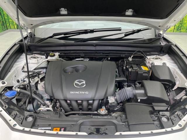 Mazda CX-30 2023-03 189512-18
